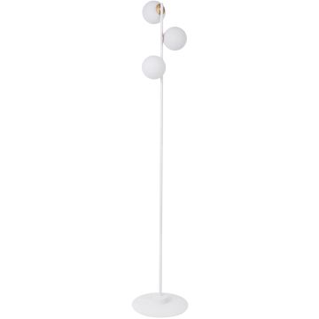 Lampa podłogowa GAMA 50204 3x12W/G9 od Sigma Lighting