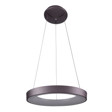 Zwis sufitowy 5304-840RP-CO-3 GIULIA od Italux