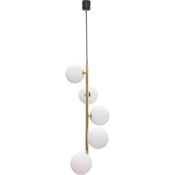 Lampa wisząca ALI 5648 5x40W/G9 IP20 od Zuma line