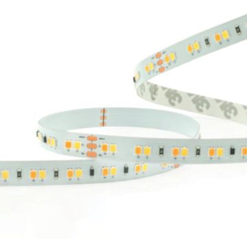 Taśma LED LED STRIP LS06 IP20 od Zambelis