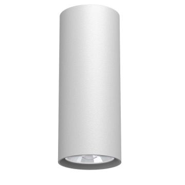 Downlight natynkowy Point 1251 1x10W/GU10 IP20 od Antigo