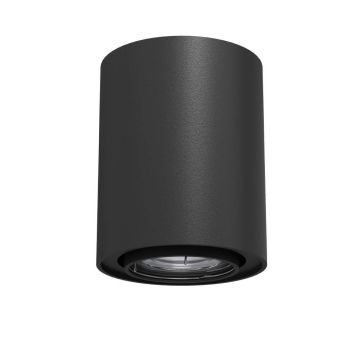 Downlight natynkowy Point 1258 1x10W/GU10 IP20 od Antigo