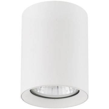 Downlight natynkowy ARTEMIS 59020 1x10W/GU10 od Alfa