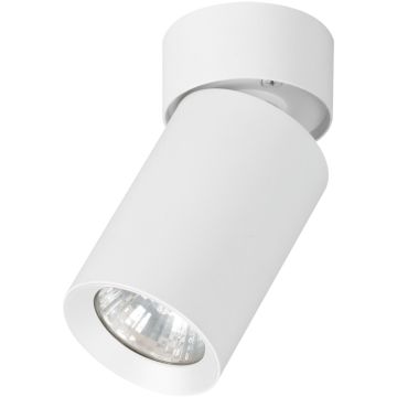 Downlight natynkowy FLEX 59026 1x10W/GU10 od Alfa