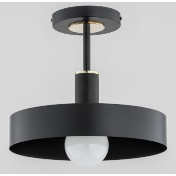 Lampa sufitowa Beryt 60976 1x60W/E27 IP20 od Alfa