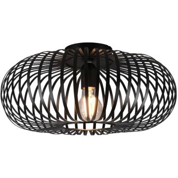 Lampa sufitowa JOHANN 606900132 1x60w/e27 ip20 od Trio