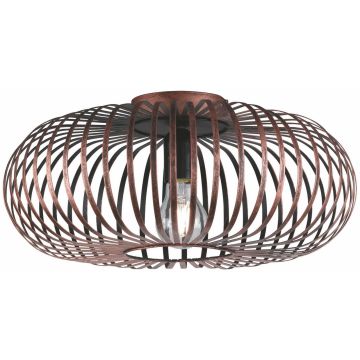 Lampa sufitowa JOHANN 606900162 1x60w/e27 ip20 od Trio