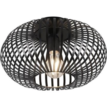 Lampa sufitowa JOHANN 606903032 1x60w/e27 ip20 od Trio
