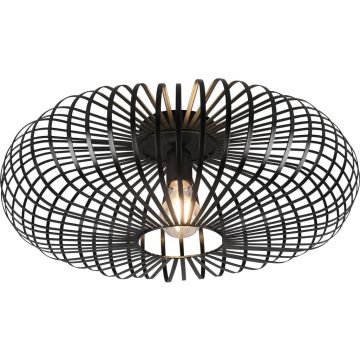 Lampa sufitowa JOHANN 606905032 1x60w/e27 ip20 od Trio