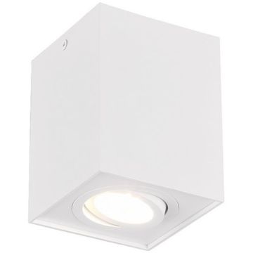 Downlight natynkowy BISCUIT 613000131 1x35w/gu10 ip20 od Trio