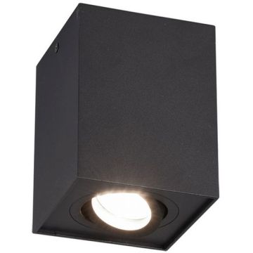 Downlight natynkowy BISCUIT 613000132 1x35w/gu10 ip20 od Trio