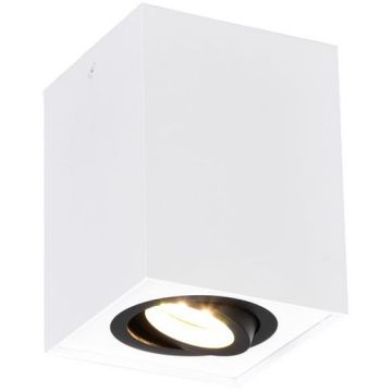 Downlight natynkowy BISCUIT 613000134 1x35w/gu10 ip20 od Trio