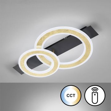 Plafon Circle 21433 2700K 1x20W/LED 3100 lm IP20 od Fischer&Honsel