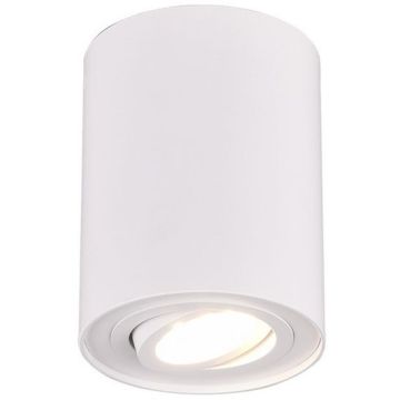 Downlight natynkowy COOKIE 612900131 1x35w/gu10 ip20 od Trio