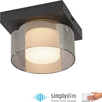 Lampa sufitowa RIKA 6162-18 3000k 1x6W/LED 680lm ip20 od Paul Neuhaus