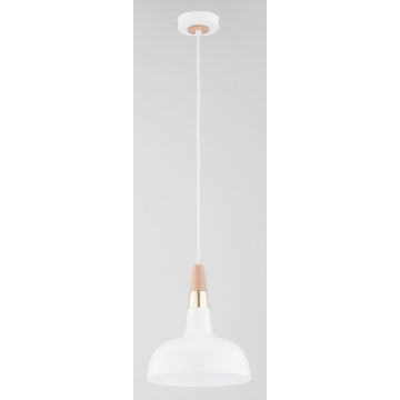 Lampa wisząca RODOS 61388 1x15W/E27 IP20 od Alfa