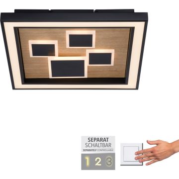 Lampa sufitowa ELIZA 6283-79 3000k 1x55W/LED 5760lm ip20 od Paul Neuhaus