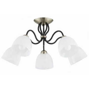 Lampa sufitowa ARIEL 63428 5x15W/E27 od Alfa