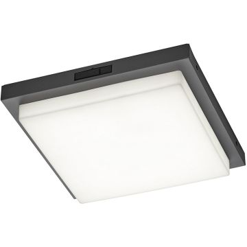 Lampa sufitowa BERMEJO 630369242 2300+3000+4000k 1x14w/led 1450lm ip54 od Trio