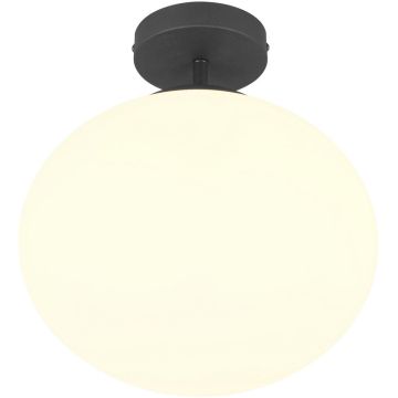 Lampa sufitowa FOMENTO 663100132 1x15w/e27 ip20 od Trio