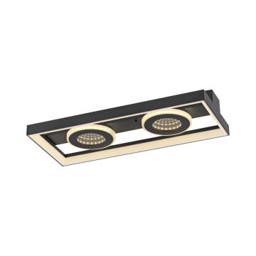 Plafon TRAFORO 6854-18 2700K-5000K 1x20W/LED 600lm IP20 od Paul Neuhaus