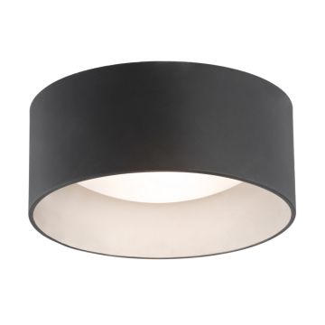 Plafon 704 MOHITO od Argon
