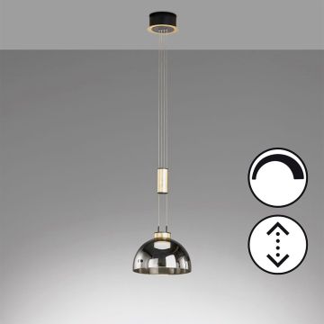 Lampa wisząca Avignon 61013 2700K 1x9W/LED 1000 lm IP20 od Fischer&Honsel