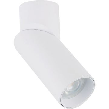 Downlight natynkowy INDIA 7858 1x15W/GU10 IP20 od Nowodvorski