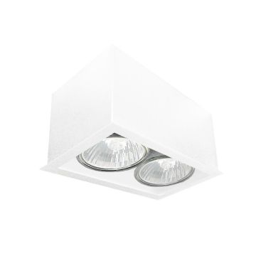Downlight natynkowy Cage 1081 2x10W/GU10 IP20 od Antigo