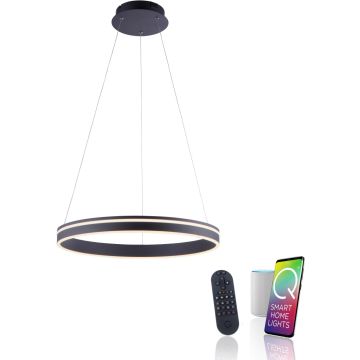 Lampa wisząca Q-VITO 8411-13 2700-5000k 1x44W/LED 4550lm ip20 od Paul Neuhaus