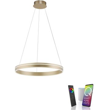 Lampa wisząca Q-VITO 8411-60 2700-5000k 1x44W/LED 4550lm ip20 od Paul Neuhaus