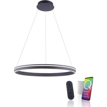 Lampa wisząca Q-VITO 8412-13 2700-5000k 1x65W/LED 7000lm ip20 od Paul Neuhaus