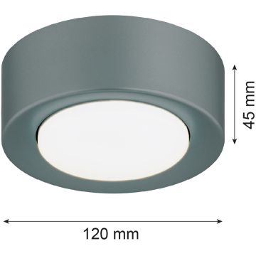 Lampa sufitowa ELORA 8917 1x12W/GX53 ip20 od Argon