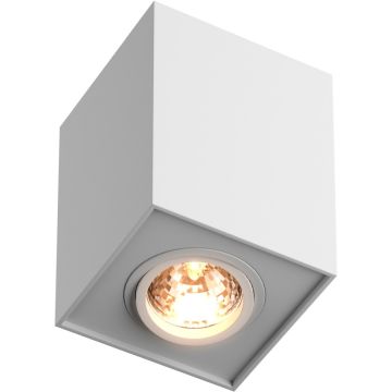Downlight natynkowy 89200-WH QUADRO od Zuma Line