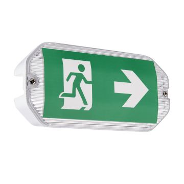 Lampa awaryjna Sight Eco 91358 6500K 3W/LED 220lm IP65 od Endon