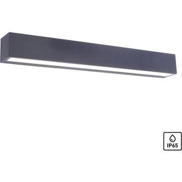 Kinkiet ROBERT 9676-13 3000k 1x36W/LED 4690lm ip65 od Paul Neuhaus