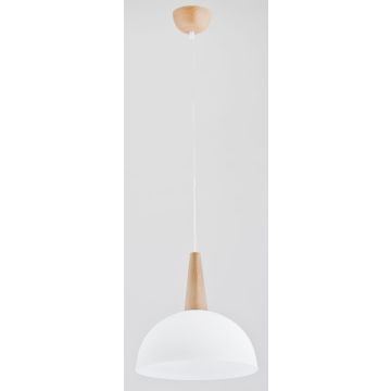 Lampa wisząca FOTYN 9725 1x60W/E27 IP20 od Alfa