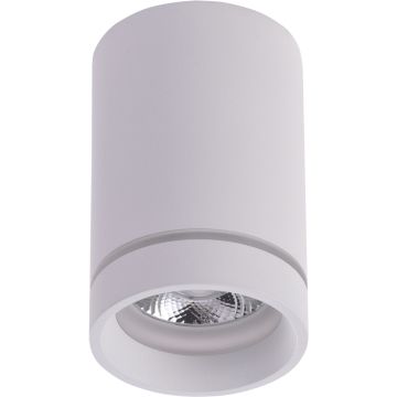 Downlight natynkowy BILL0W AZ3375 4200K 1x10W/LED 925lm od AZzardo