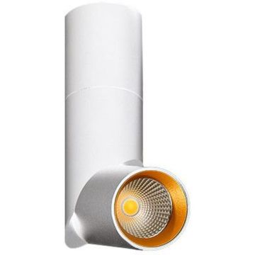 Downlight natynkowy SANTOS AZ2417 3000K 1x14W/LED 1135lm od AZzardo