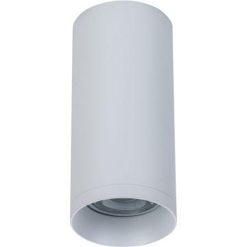 Plafon sufitowy C010CL-01W ALFA od Maytoni