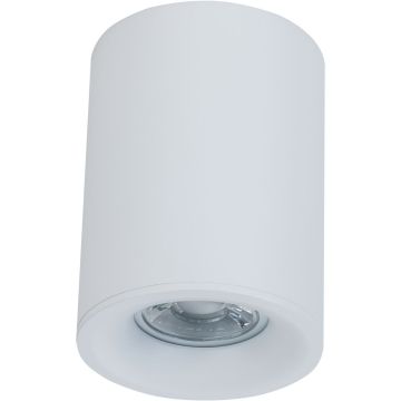 Plafon sufitowy C012CL-01W ALFA od Maytoni