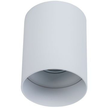 Plafon sufitowy C014CL-01W ALFA od Maytoni