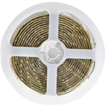 Taśma LED EKZ0668 4000K 4,8W/m/LED 540lm od Eko-Light