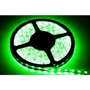 Pasek LED 2,5m 60/1mb 12W/250cm Zielona IP20 od Eko-Light