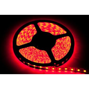 Pasek LED 5m 60/1mb 24W/500cm Czerwona IP20 od Eko-Light