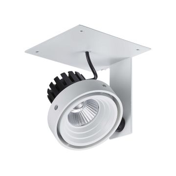 Reflektor sufitowy GL7118-1/1X12W 4000K WH+BL PATRIZIO od Italux