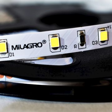 Pasek LED Pro 5m 60/1mb 24W/500cm Zimna biała 6000K IP20 od Milagro