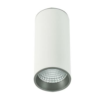 Downlight natynkowy SLC7392/12W 4000K WH+GR MOLDES od Italux
