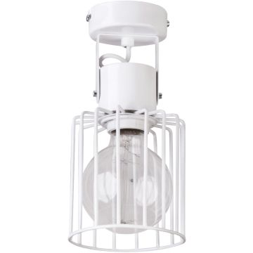 Spot LUTO 31146 1x60W/E27 od Sigma Lighting