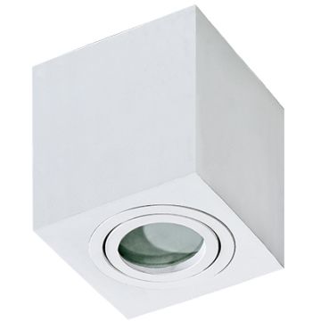 Downlight natynkowy BRANT AZ2822 1x50W/GU10 od AZzardo